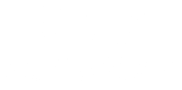 Kids Arena logo